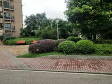 弹子石CBD原洋人街大3房2卫改4房全新装修采光好视野好