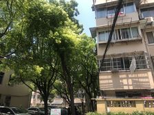 新华小区,双南两房,业主诚售,价格可谈