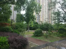 ???三开间朝南大两房,小区中间,满五年,诚意出售