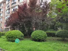 满五一套,居家自住,南北通格局,宽敞明亮,