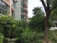 顶层电梯复式,自带露台活动区。