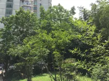 万峰梦湖苑2室南朝向699.00万元/套出售