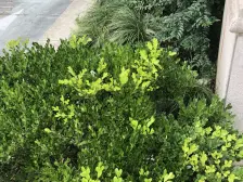 外滩江畔一梯一户管家服务 3开间朝南 低单价低总价