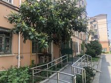 三间朝南,户型楼层好 地铁沿线 诚售