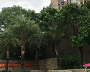 增城雅居乐御宾府3室2厅西北