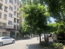 老闵行·新华小区·3室·1厅