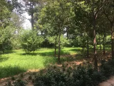 四开间朝南,诚心出售,采光没有遮挡。