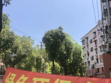 新上房源,户型好,装修好,诚意出售