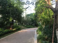 房子格局好,视野辽阔,一线湖景,楼层好,采光充足