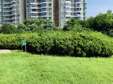 阳明山庄 朝北户型 采光通风充足 业主诚意出售