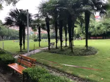 11+18号线御桥站200米,电梯高区一房