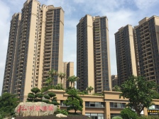 高楼层东南向 117平四房 业主诚心出售