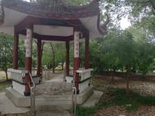 2房+满五 +中间楼层 +5号线+位置好+天然氧吧
