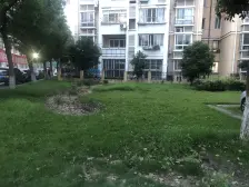 满五威一采光好,税费少格局明亮拎包住