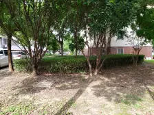 鼎尚花园(姑苏区) 3室1厅 南