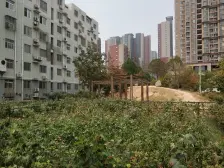 满五年南北户型,通风良好多层得房率高