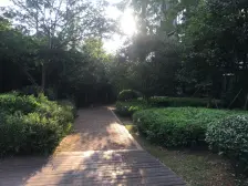 东端户 近地铁 面积小 总价低 贴近公园边