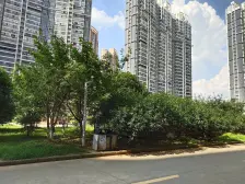 锦苑春天 南北通透,采光好 装修好,环镜优美 视野好,诚心出售