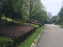 房子自住装修 朝南楼栋安静 诚心出售 楼间距开阔