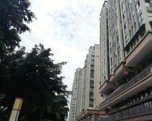 神仙树缤纷3室1厅西南
