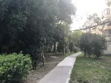 金杨·金杨五街坊·2室·1厅