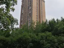 李家沱 融汇半岛艾德公馆一房50万