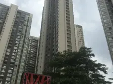 万科蓝湾一期东南向一线江景房 南区靓位置 高层