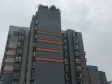 临湖洋房,带小花园,环境优美,住家安静