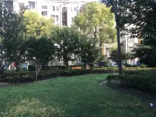 金杨新村五街坊 2室1厅 南 北