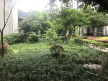 冉家坝 圣地阳光二房