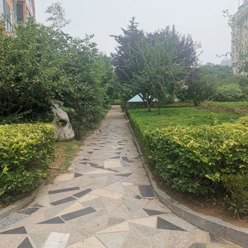 千禧龙花园3室2厅1卫南北朝向2200.00元/月出租