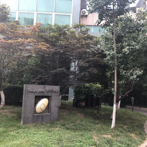 青岛太平洋中心2室1厅1卫南朝向5500.00元/月出租