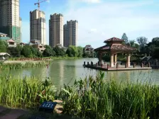 小区环境好,交通便利,双书包房