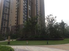 精装修 好楼层 采光好 视野开阔