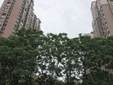 诚心出售瑞景国际精装房,临商场,看房方便。