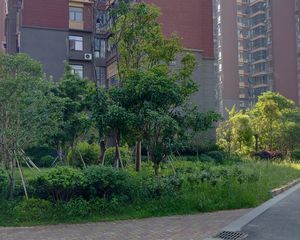 英格兰堡四叶草户型电梯洋房人车分流有车位