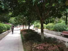 艾德公馆 3室2厅 南