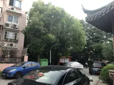 金杨十一街坊 一梯两户,非顶楼,9/14双轨交,中环内