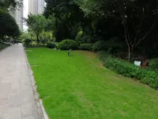 融汇半岛爱窝 1室1厅 南