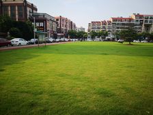 动静分离格局,精装修,好楼层,采光充足近地铁