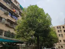 粤秀苑 2室1厅 南