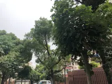 海滨七村 小一房户型 低总价 房东诚意售