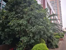 近地铁,户型正气,规划加装电梯中,业主急售价格可谈