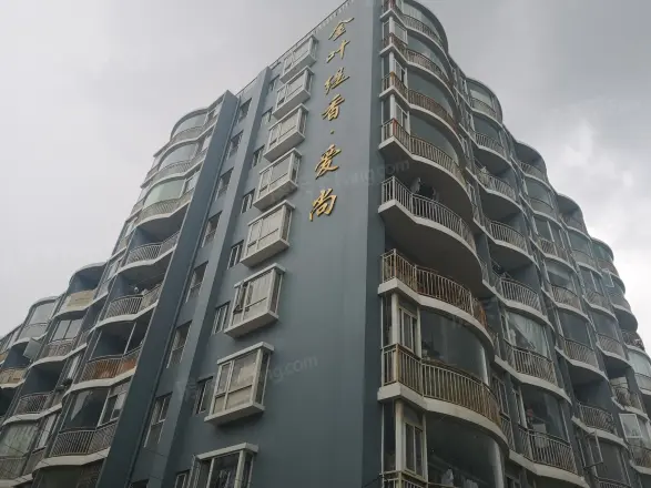 金叶缇香爱尚