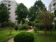 自带采光的两房 毛胚 没有拆旧 欢迎实地看房