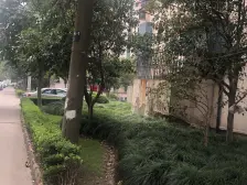 全明户型,采光视野好一室户