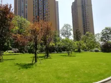 精准居家正两房,视野开阔,近商圈,近轻轨。