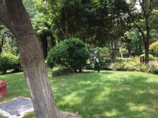 家具全送 采光好 现场实勘 必看好房