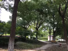 上海源花城 3室2厅 东南