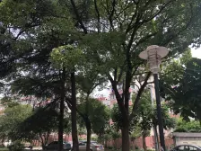 一梯四户,小户型,交通便利,小区中心位置,居家装修